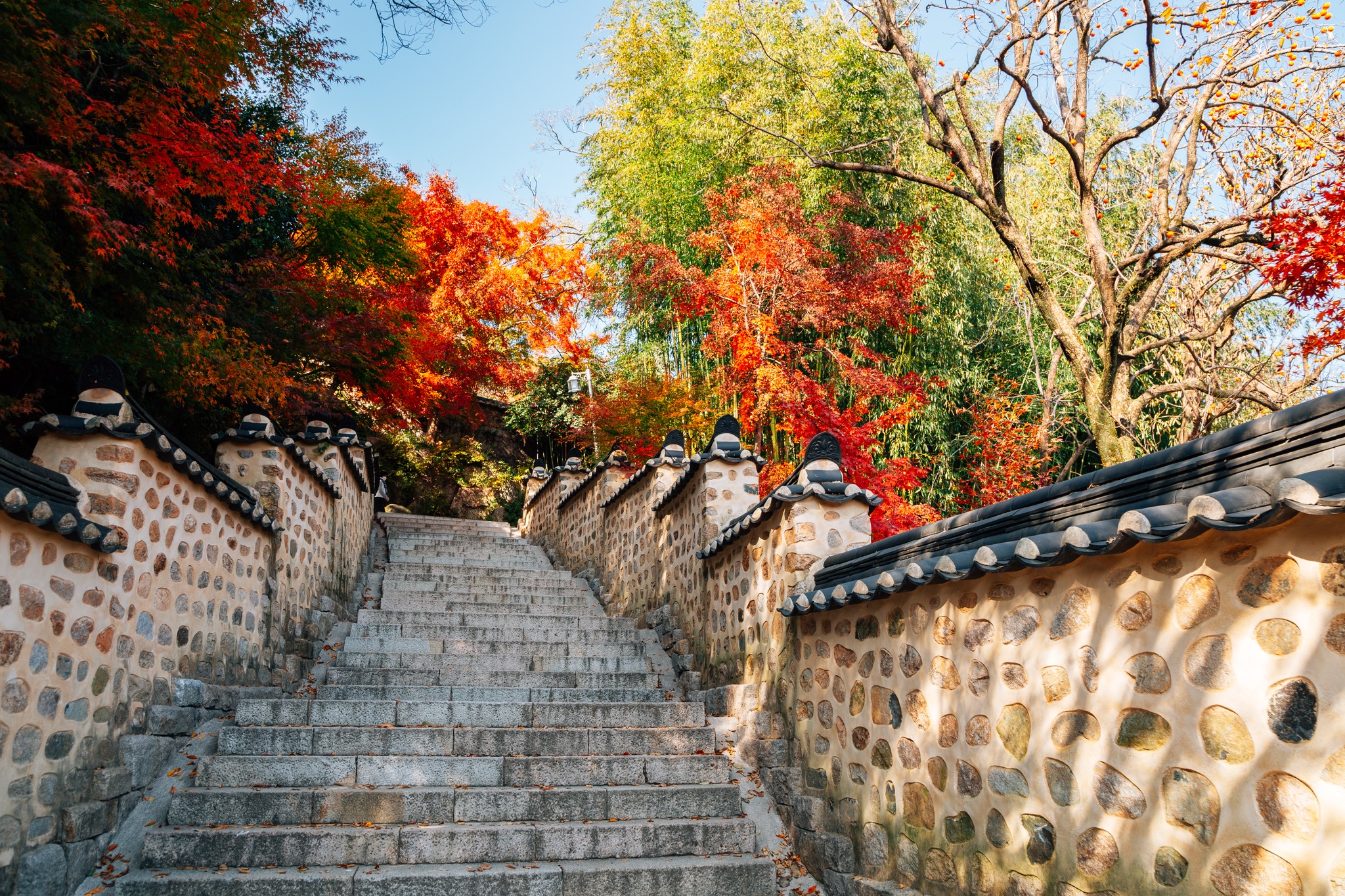 Busan - Seoul - Korean Folk Village - Seoul Forest