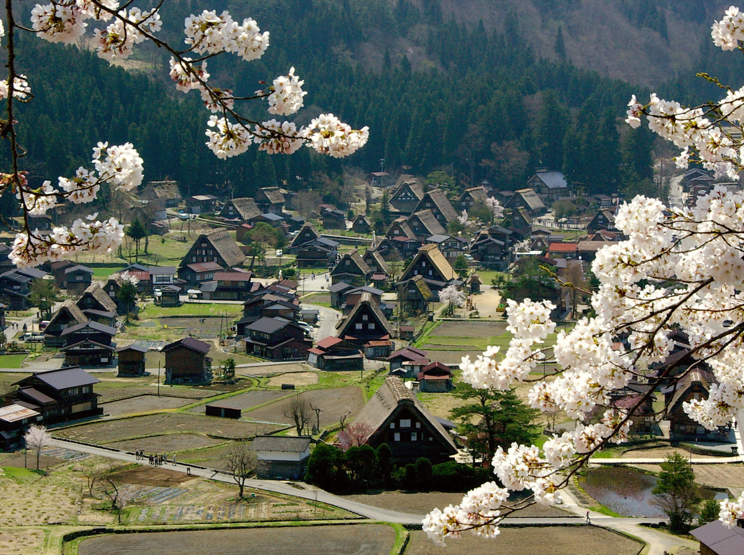 Tokyo - Núi Phú Sĩ - Nagoya - Kyoto - Osaka