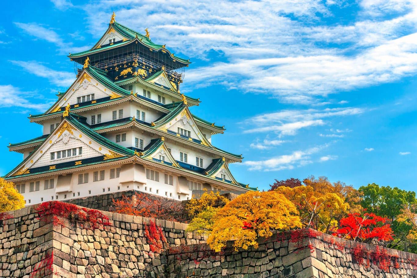 Osaka - Nara - Núi Phú Sĩ - Tokyo